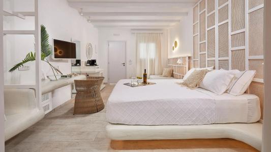 Petri Suites - 4