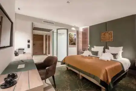 Rivage Hôtel & Spa Annecy - 70