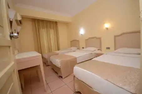 alenz suite - 2