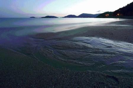 Florida Lerici - 19