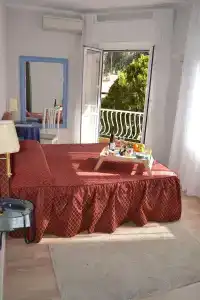 Il Gatto - 41
