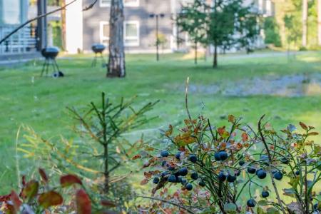 Saimaa Life - 207
