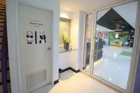 Lucky panda - 13