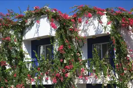 Catamaran - 21