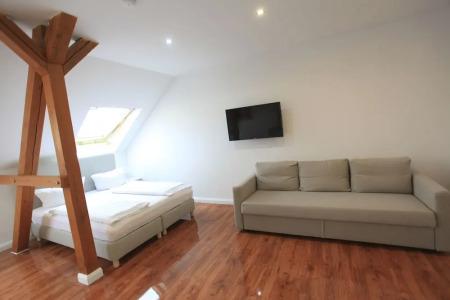 Zollikof Aparts - Sauna & Studio - 24