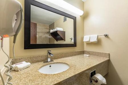 Red Roof Inn Plus+ & Suites Houston – Iah Airport Sw - 36