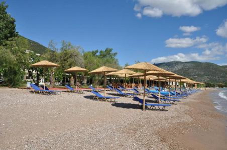 Apollon - 10