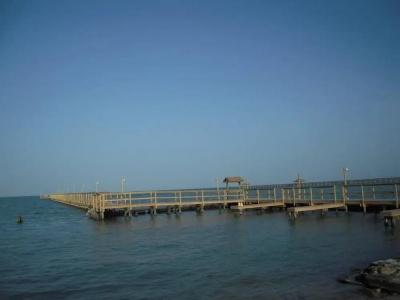 Bayfront Cottages - 11