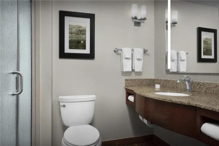 Hilton Garden Inn/Bricktown - 47