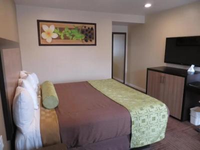 Best Western Plus - 28