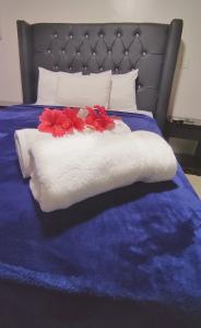Acuarium Suite Resort - 17
