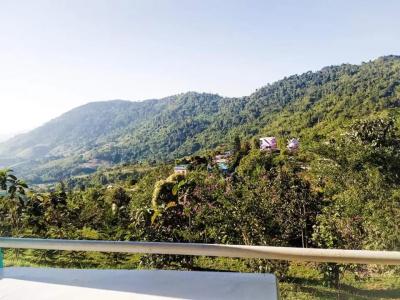 Khao Kho Tree Top - 14