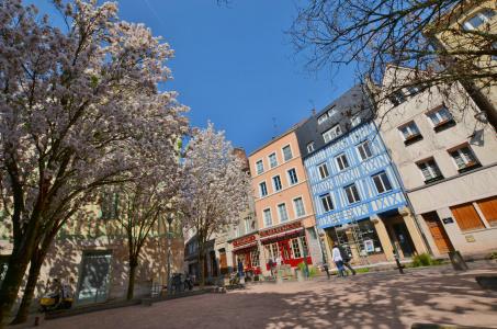 Holiday Inn Express - Rouen Centre - Rive Gauche, An Ihg - 22