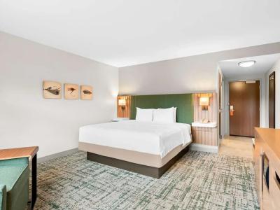 Hampton Inn & Suites - 47
