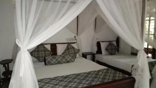 Sigiriya Rock Gate Resort - 37
