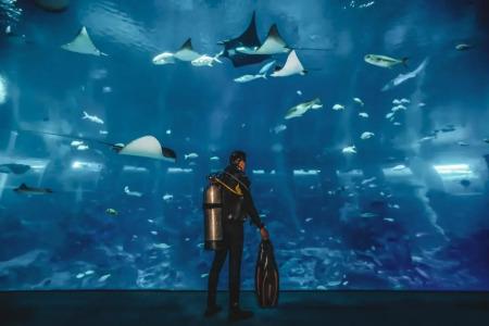 Resorts World Sentosa - Crockfords Tower (SG Clean) - 30