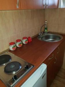 Guest house Sjekloća - 21