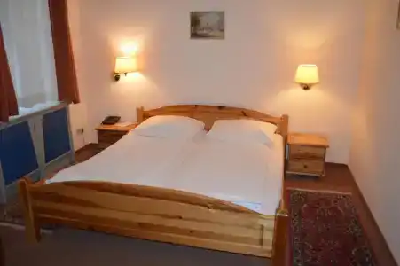 Pension Walzerstadt - 37