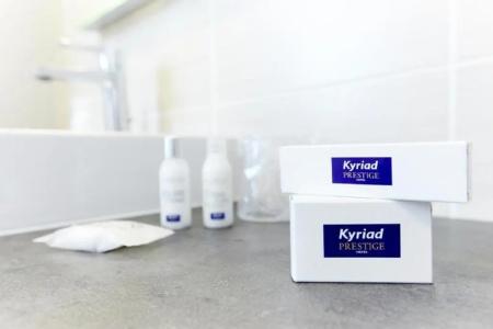 Kyriad Prestige Vannes Centre-Palais des Arts - 55