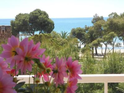 Tramontana - 50