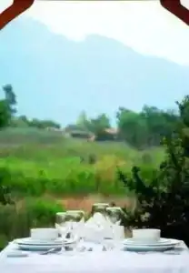 Yonca - 18