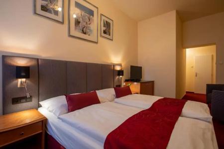 Pension U Lilie - 46