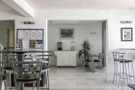 Les Palmiers En Camargue - 9