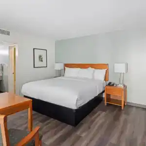 Vagabond Inn - 38