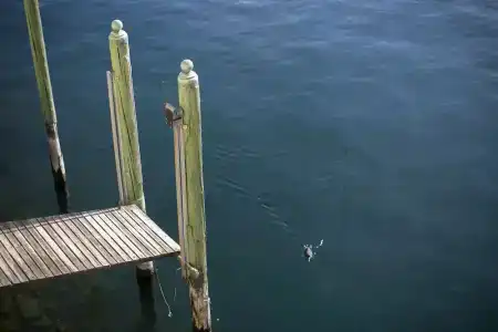 Darsena di Riva Grande - 54
