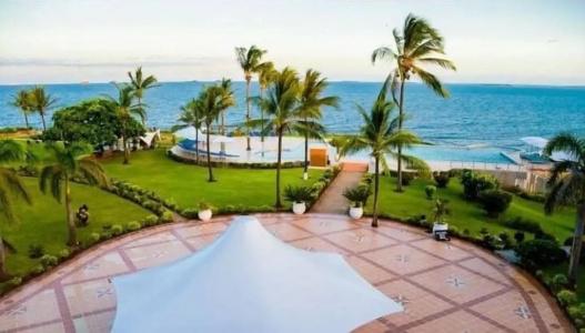 Golden Tulip - 119