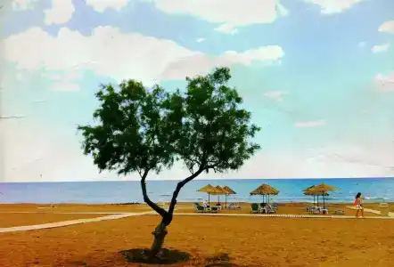 Blue Sea Beach Resort - 23