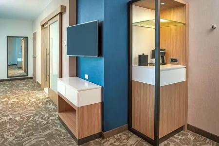 SpringHill Suites by Marriott Winter Park - 29
