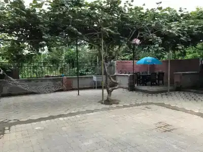 Green House - 15