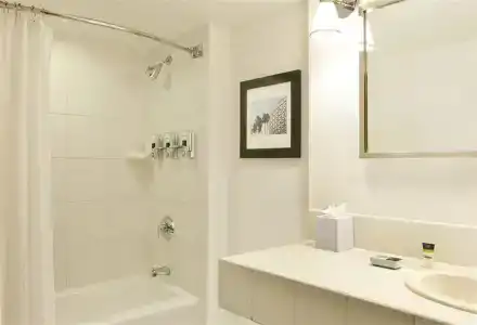 Four Points by Sheraton Orlando International Drive - 9