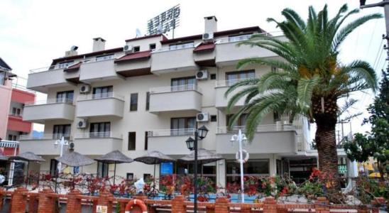 Green Palm - 12