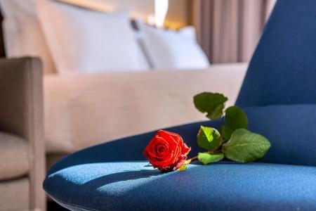Radisson Blu, Rouen Centre - 56