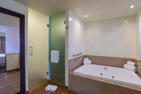 Holiday Inn Mexico City-Plaza Universidad, An Ihg - 124