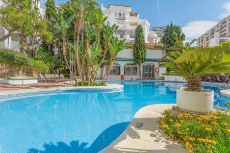 Royal Oasis Club at Pueblo Quinta By Diamond Resorts - 14