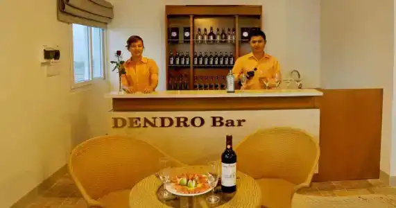Dendro - 24