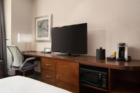 Hilton Garden Inn Long Island City - 45
