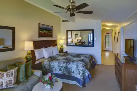 Napili Kai Beach - 1