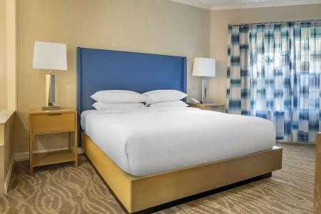 Hilton Grand Vacations Club SeaWorld Orlando - 42