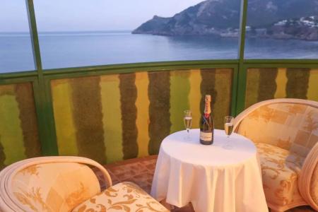 Kaktus Albir - 112