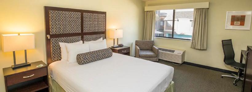 Maple Tree Inn - 5