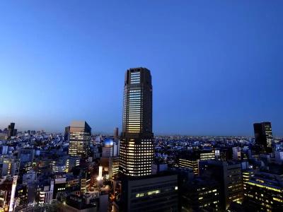 Cerulean Tower Tokyu, a Pan Pacific Partner - 64