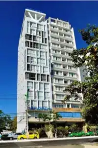 Dendro - 19