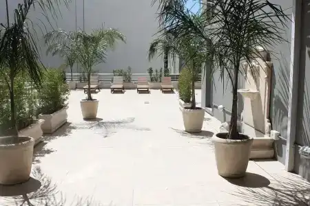Club Frances - 19