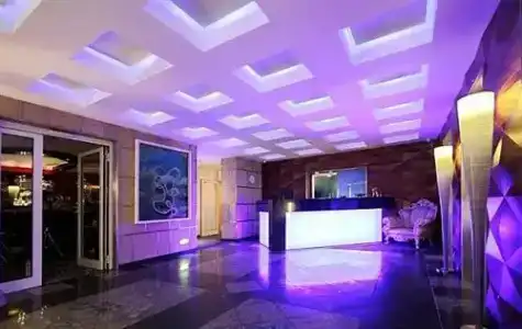 Avidon Art & Design - 17