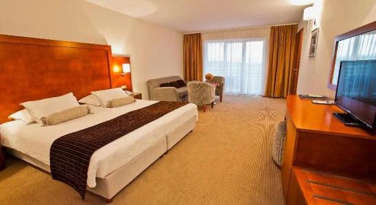 Spa & Wellness Pinia - 2