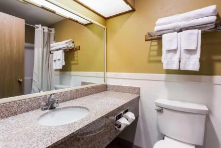Quality Inn Airport - 55